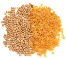 Whole and Split Mustard Seeds