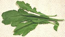 Leaves