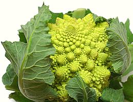 Romanesco