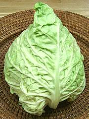 White Cabbage
