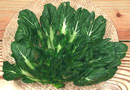 Ta Gu Choy