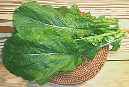 Turnip Greens
