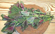 Amaranth