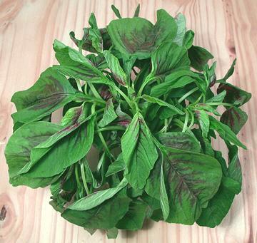 Asian Amaranth Stems with Leaves