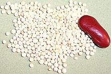 Quinoa
