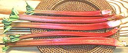 Rhubarb Stems