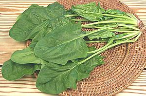 Spinach