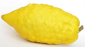 Whole Citron Fruit