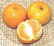 3 Tangarines