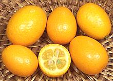 Kumquats