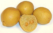 Preserved Lemon