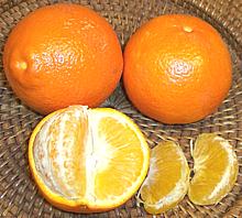 Royal Mandarin