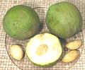 White Sapote Fruit