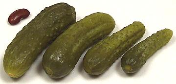 Cucumber Gherkins, various sizes
