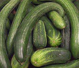 Mix of Assorted Cucumbers