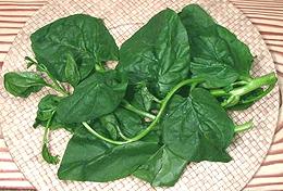 Malabar Spinach Tendrils and Leaves