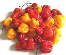 Whole Red amd Yellow Adjuma Chilis