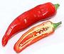 Large Red Tunisian Baklouti Chilis, whole and cut
