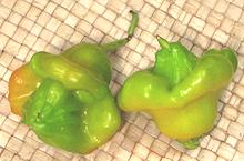 Whole Chilis