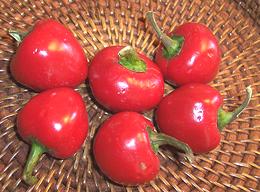 Whole Red Cherry Peppers