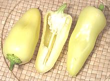 Guero