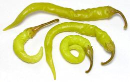 Long yellow Guindilla chilis