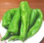 Fresh Green Manganji Chilis