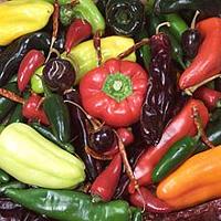 Mix of Chili Peppers