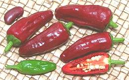 Red Shatta Chilis, whole and cut