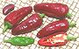 Red Shatta Chilis, whole and cut
