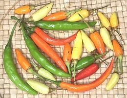 Thai Chilis