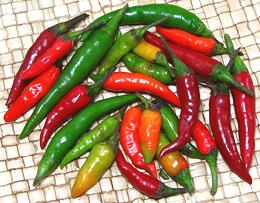 Various size and color Thai Chilis