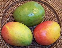 Mexican Mangos