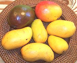 Mangos