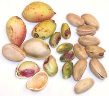Pistachio Nuts, raw, roasted