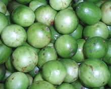 Whole green Umbu Fruit