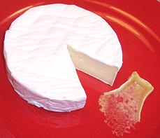 Wheel of Camembert Cheese