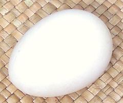 Duck Egg