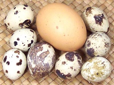 Quail Eggs with Chicken Egg
