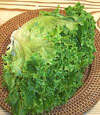 Head of Green Leaf Lettuce