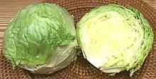 Iceberg Lettuce