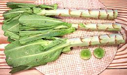 Stems w/Leaves