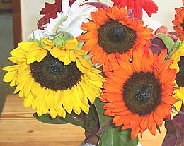 Sunflowers