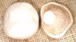 Whole Bai-Ling Mushrooms