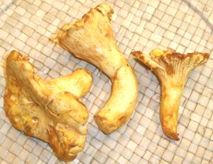 Whole Yellow Chanterelles