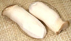 King Oyster