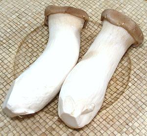 Two large King Trumpet Oyster Mushrooms