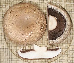 Whole and Cut Portabello Mushrooms