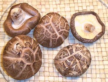 Shiitake Mushrooms, Fresh and Dried