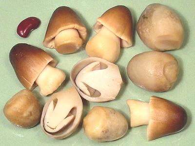 Straw Mushrooms